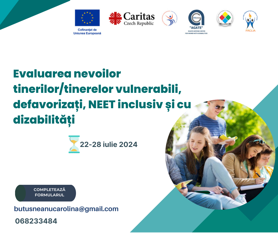Evaluare Nevoi - Creșterea competențelor digitale și a abilităților de planificare a carierei pentru tinerii NEET și cu dizabilități