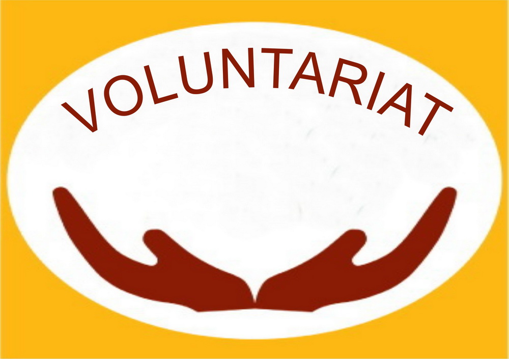 Clubul de Voluntariat