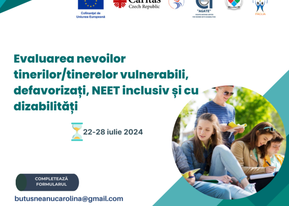 Evaluare Nevoi - Creșterea competențelor digitale și a abilităților de planificare a carierei pentru tinerii NEET și cu dizabilități