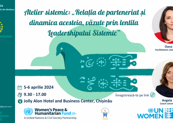 Relația de parteneriat și dinamica acesteia, văzute prin lentila Leadershipului Sistemic